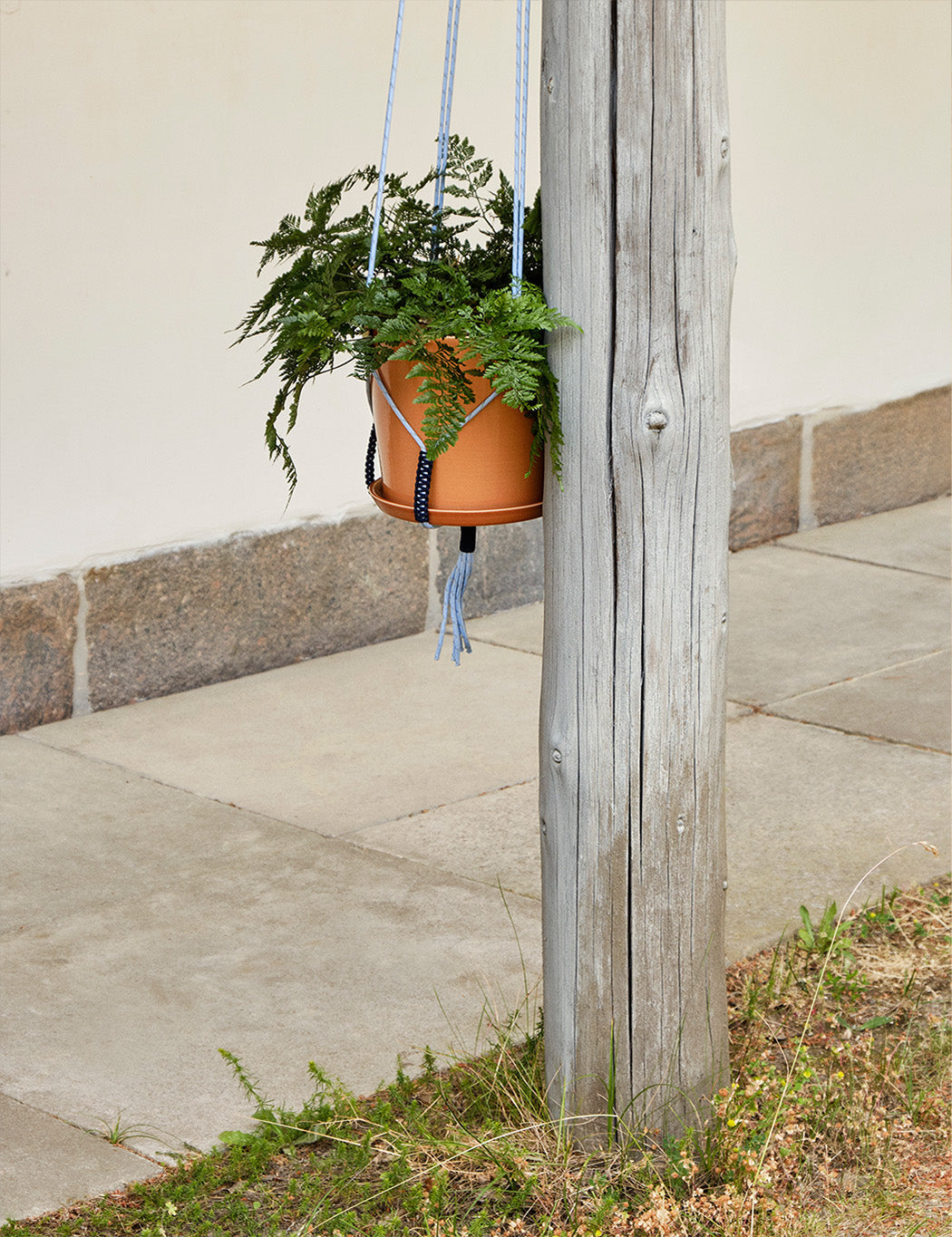 Phanta Plant Hanger - #color_blue