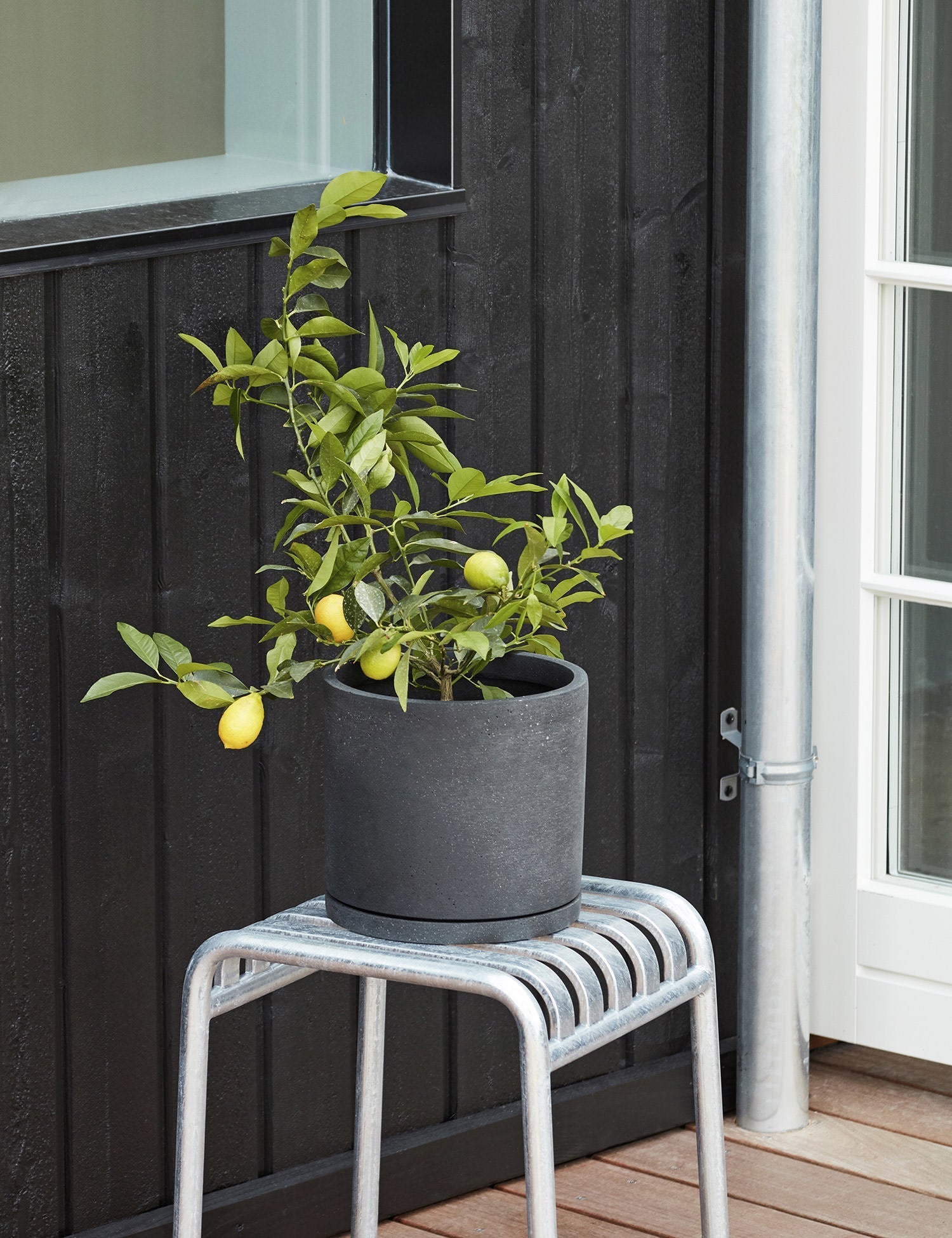 Plant Pot with Saucer - #color_black