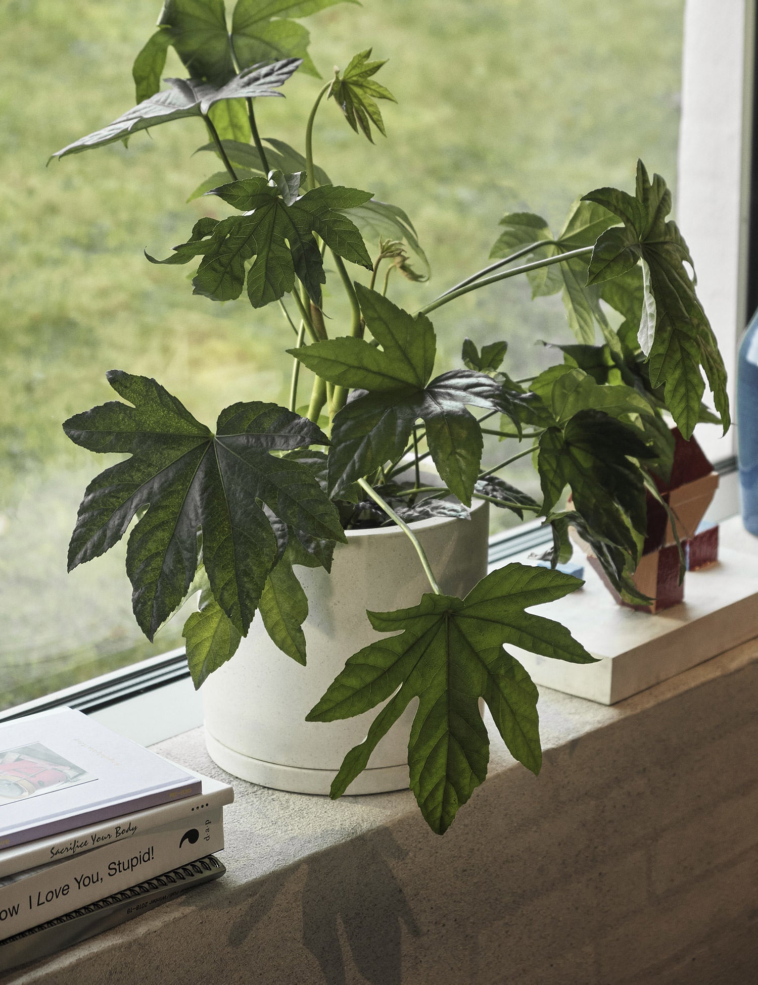 Plant Pot with Saucer - #color_grey