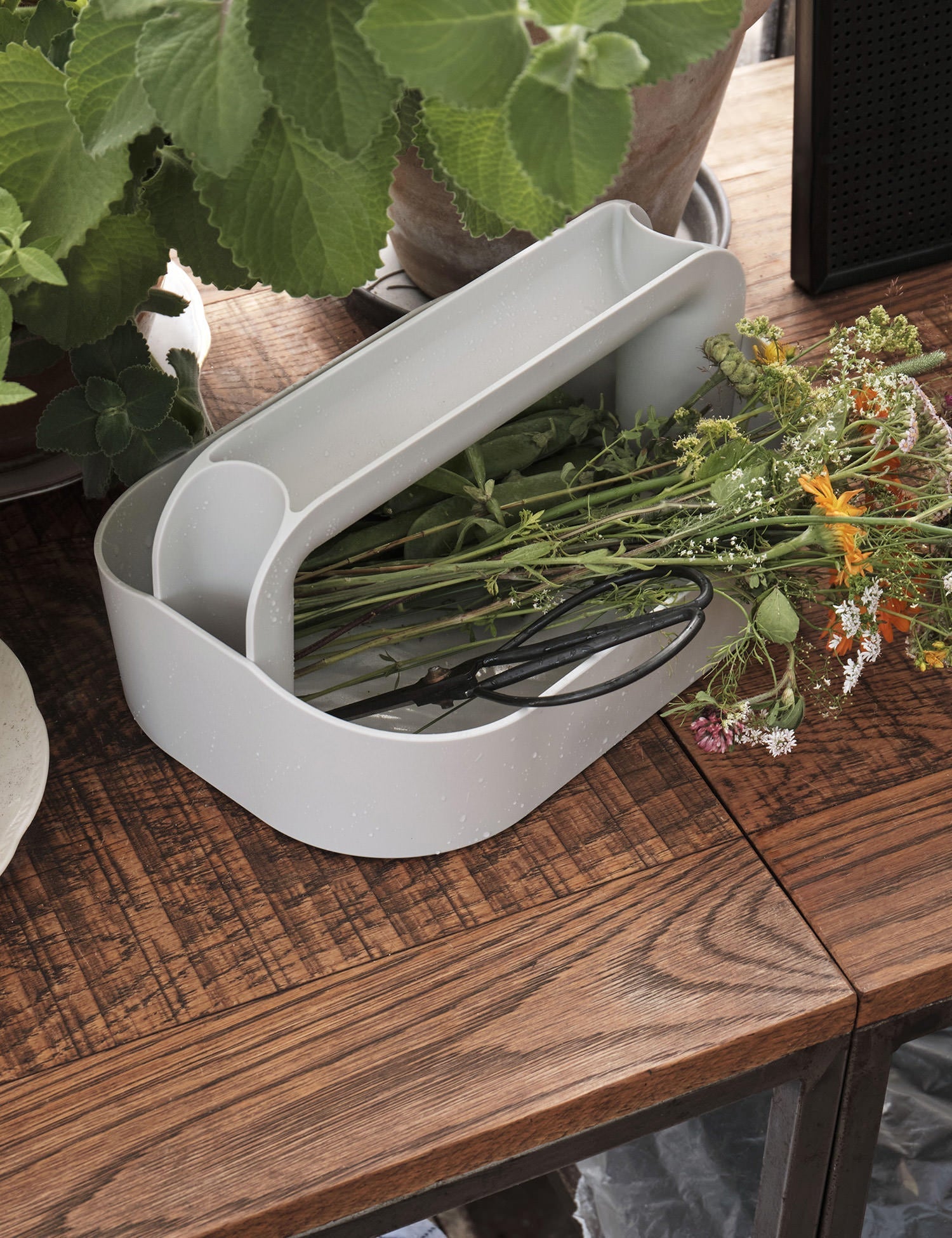 Tool Box - #color_grey