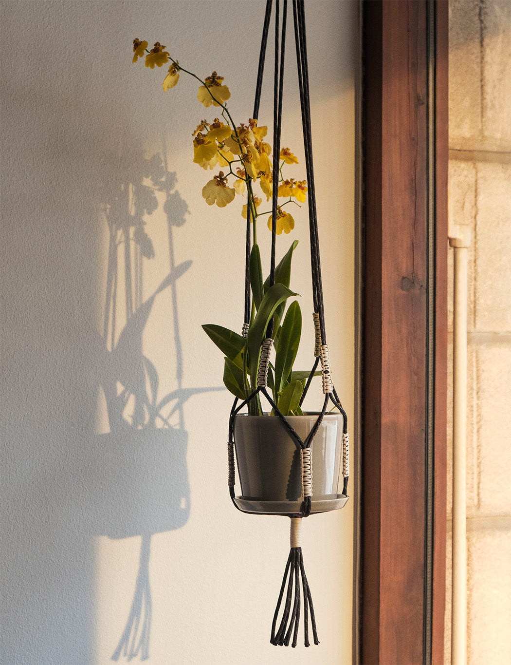 Phanta Plant Hanger - #color_black